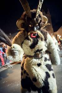 Veste en fourrure de renard de Mongolie véritable, courte, pour femmes âgées, écologique, séchage rapide, fourrure de haute qualité - Product Image 6