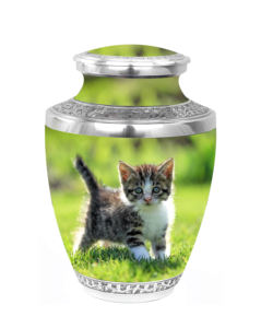 โกศฌาปนกิจการออกแบบให้เป็นฌาปนกิจพร้อมถุงกำมะหยี่ฟรี - Product Image 3