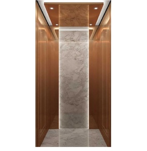 Fabricante profesional de elevadores para villas, elevador doméstico pequeño con sistema de control inteligente y capacidad de 300 kg para residencias privadas - Product Image 4