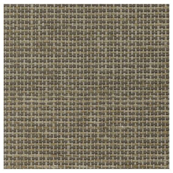 สีดำสีกากี