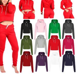 Chándal de moda, venta al por mayor, conjunto de pantalón de dos piezas de terciopelo, chándal con logotipo personalizado, chándal de terciopelo para mujer, conjunto de 2 piezas, camisetas con capucha - Product Image 1