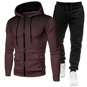 Ensemble de survêtement sportif automne-hiver pour hommes, style européen et américain, couleur unie, doublure polaire, survêtement décontracté, hauts actifs - Product Image 4