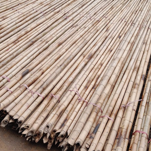 Cañas de Bambú Natural Premium para Cercas de Jardín, Paisajismo y Delimitación de Tierras Agrícolas - Longitud y Diámetro Personalizables, Fabricante de Vietnam - Product Image 5