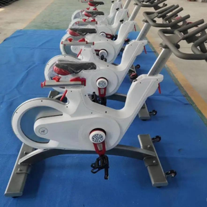 Bicicleta de Spinning en Oferta con Asiento Ajustable para Gimnasio, Bicicleta de Ejercicio, Bicicleta de Spinning Transformable - Product Image 6