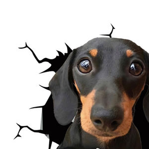 Calcomanías <span class=keywords><strong>de</strong></span> grietas 3D <span class=keywords><strong>para</strong></span> ventana <span class=keywords><strong>de</strong></span> coche, pegatinas estáticas divertidas y realistas <span class=keywords><strong>para</strong></span> el borde del perro, la <span class=keywords><strong>nevera</strong></span> y la puerta <span class=keywords><strong>de</strong></span> cristal - Product Image 2