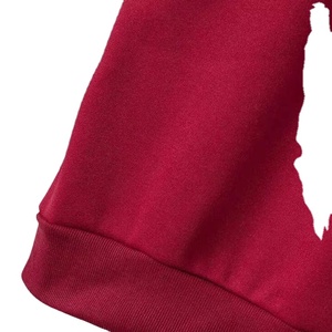 Sudadera con Capucha para Hombre, Estilo Moderno, MOQ Bajo, Diseño Profesional y Cómodo, Sudadera con Capucha al por Mayor con Logotipo Personalizado - Product Image 6