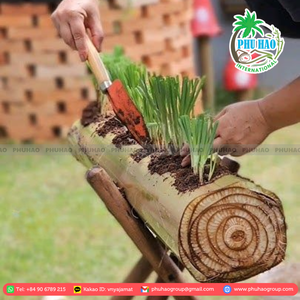 PRODUIT TOP Tourbe de noix de coco de haute qualité du Vietnam Cultivez de meilleures plantes aujourd'hui pour un jardin magnifique et florissant - Product Image 3