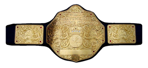 Cinturones de campeonato de lucha de peso pesado mundial Cinturones de campeonato de oro grandes hechos a medida 2mm 4mm Cinturones de oro grandes - Product Image 6