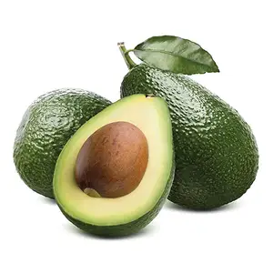 Farm Direct Fresh Hass/ Organic Fuerte Avocado price Premium Grade AVOCADO