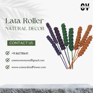 Popular calidad superior al por mayor Natural Lata Roller Lata y creación de vid para arreglos florales secos - Product Image 5