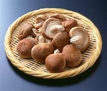 Nấm <span class=keywords><strong>Shiitake</strong></span> ngâm cổ điển/công thức gia đình/giá trị phải chăng/sản xuất tại Việt Nam - Product Image 4