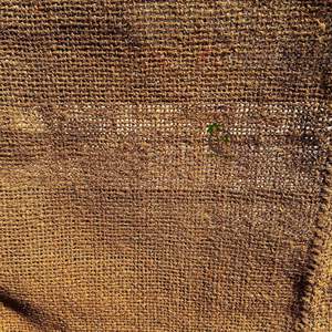 Rideau en fibre de coco de qualité supérieure |   Parasol naturel et écran d'intimité pour les espaces extérieurs - Product Image 3