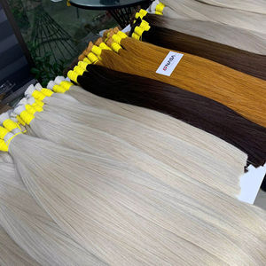 ราคาส่งผมปลอมจาก Nasa Hair แบบยกมัด ผมแท้ 100% VN Remy น้ำหนัก 100 กรัม สีอ่อน ซุปเปอร์ดับเบิ้ลดรอน 55 ซม. ผมตรงธรรมชาติ - Product Image 1