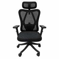 Chaise de bureau en maille noire avec accoudoirs coulissants, soutien lombaire réglable et base incurvée pour bureaux à domicile et postes de travail