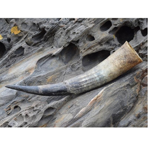 Mug en corne naturelle d'inspiration viking, design médiéval de luxe avec une prise en main parfaite pour la bière, en vente - Product Image 3