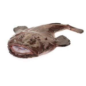 Pescado Monzón Congelado Entero / Filetes – Pescado Congelado de Calidad para Venta al por Mayor - Product Image 4