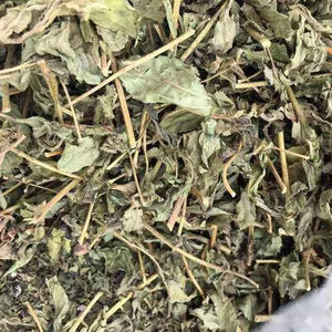 สมุนไพรเวียดนาม สารสกัดจากใบหญ้าหวานแห้ง เกรดอาหารเพื่อสุขภาพ บรรจุสุญญากาศ - Product Image 1