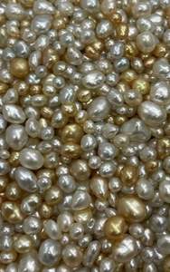 Perle brute Kessy mer du sud bali Lombok pour les ventes Caspla bali une société groupe revendeur et fournisseur perle mer du sud zone de bali brute - Product Image 5