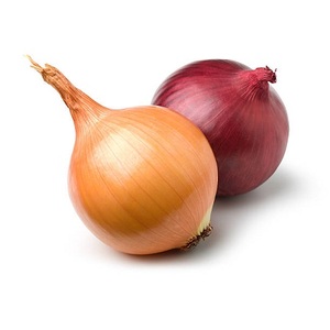 Cebollas rojas y amarillas frescas orgánicas Variedad de exportación de la mejor calidad peladas y listas para enviar - Product Image 3