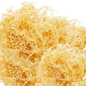 Nueva oferta para clientes: 20% de descuento en el primer pedido-Musgo del Mar de Irlanda Premium (Seamoss Gold - Purple) - Chondrus Crispus - Product Image 5