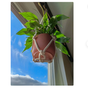 Decorative Flowers Wreaths and Plants Customized Macrame Plant Hanger for <b>Wall</b> and Window Decoration - Product Image 1