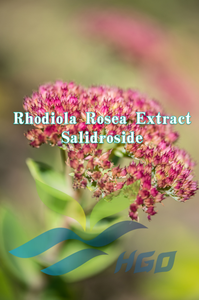 HGO Factory Fourniture directe d'extrait de Rhodiola Rosea naturel pur (qualité alimentaire) Spécification 10:1 (extrait de rapport) - Product Image 2