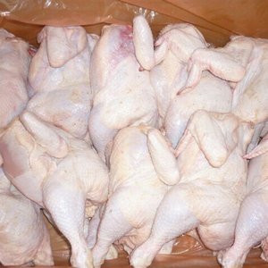 ไก่แช่แข็งฮาลาลคุณภาพสูงจากบราซิล บรรจุกล่อง เกรด A น้ำหนัก 2.5 กก. - Product Image 1