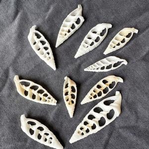 Tranches de coquillages artisanaux en forme de spirale pour décor côtier, présentoirs de mariage et projets faits à la main - Product Image 5