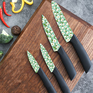 Cuchillo de Chef de Cerámica con Mango de Plástico para Senderismo al Aire Libre, Venta al por Mayor de Fábrica, Envío Gratuito - Product Image 3