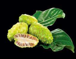 JUS DE NONI CONCENTRÉ PUR/SUPPORT IMMUNITAIRE/ÉTIQUETTE NETTOYANTE/100% NATUREL - Product Image 2