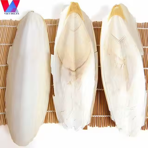 NATURAL DRIED <b>CUTTLE</b> <b>FISH</b> <b>BONE</b> WHOLESALE AT AFFORDABLE PRICE - Product Image 2