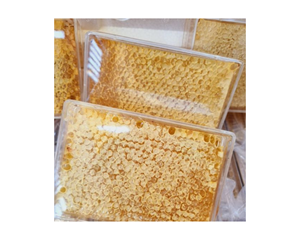 500g All Natural Raw Honeycomb 100% Honey Pure Raw Honey Comb Cake -100% All Natural Comestible Honey Combs se pueden comer directamente - Product Image 3