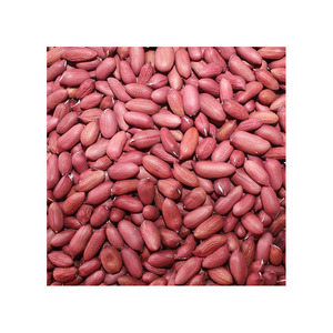 Wholesale Groundnuts packed in jute or <b>vacuum</b> <b>bags</b> for long shelf life - Product Image 4