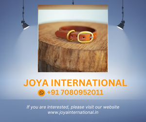 Classic <b>Dog</b> <b>Collar</b> - 15mm - Black - Product Image 2