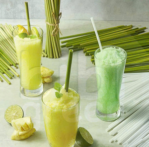 Pajitas de hierba personalizadas con logo 2026, accesorios para bebidas, gran oferta, de Vietnam, esenciales para bares, para el mercado coreano - Product Image 6