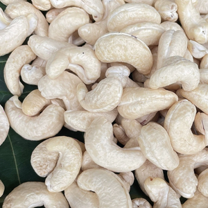 Fournisseur fiable de noix de cajou brutes, noix de cajou WW180, WW240, WW320, noix de cajou LP en gros de Santigo, Vietnam - Product Image 1