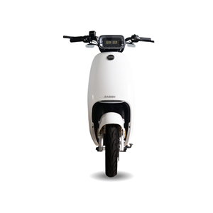 Garow Hot Smart Type <b>Adult</b> Electric City <b>Bike</b> Two-<b>Wheel</b> with Central Motor <b>3</b> Speed and 48v Voltage Sensor 2 Seats Before All - Product Image 5