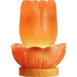 Fabricant pakistanais personnalisé lampe au sel naturel rose de l'Himalaya abat-jour en pierre de corps en cristal lampe de table électrique E14 E26 - Product Image 1