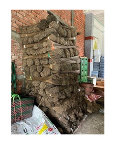 Bâton de balai de noix de coco fait main Nature/Pour nettoyer la noix de coco/bâtons de balai d'herbe - Product Image 2