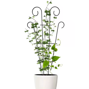 Treillis pour plantes grimpantes, cadre en métal pour jardin, revêtement en poudre, design classique de luxe écologique, support à fleurs en fer décoratif - Product Image 1