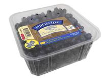 Étiquettes de récipient alimentaire autocollants de fruits imperméables adhésifs forts pour l'emballage en plastique extérieur autocollant de code à barres anti-rayures