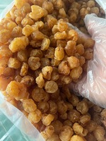 Buah Longan Kering Utuh Alami - Camilan Tropis Manis Berkualitas Tinggi Longan Kering Vietnam dalam Kantong Tertutup Harga Grosir