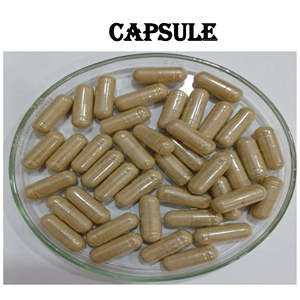 Extracto de Coleus Forskohlii de la mejor calidad, 150 cápsulas de forskolina, 100 por ciento de suplemento de hierbas orgánico certificado, embalaje personalizado - Product Image 2