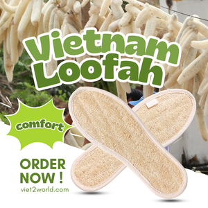 ใยบวบธรรมชาติพื้นรองเท้ากีฬาและความสบายระบายอากาศและดูดซับเหงื่อนำมาใช้ใหม่จากเวียดนาม - Product Image 1