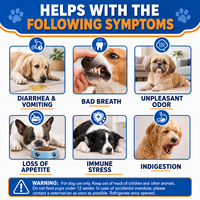 Friandises à mâcher probiotiques pour chiens, marque privée, pour la santé intestinale, soutien digestif, supplément prébiotique et probiotique pour animaux de compagnie, friandises molles