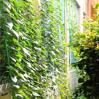 Filet d'escalade en nylon jardinage Melon fruits légumes luffa haricot clôture cadre chrysanthème jardin treillis filet de soutien anti-logement
