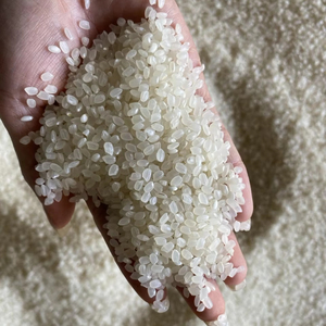 Riz japonica à grains courts, riz à sushi de haute qualité - Product Image 1