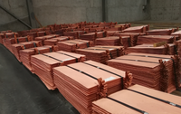 Plaques de Cathodes de cuivre à prix d'usine/lingot de cuivre/Cathode de cuivre Cu 99.99%