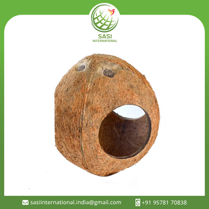Casa de pájaros con cáscara de coco ecológica, nido atractivo para loros y otras mascotas - Product Image 2