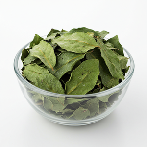 Hoja seca de Guanábana de alta calidad de Vietnam, el mejor producto agrícola económico - Product Image 3